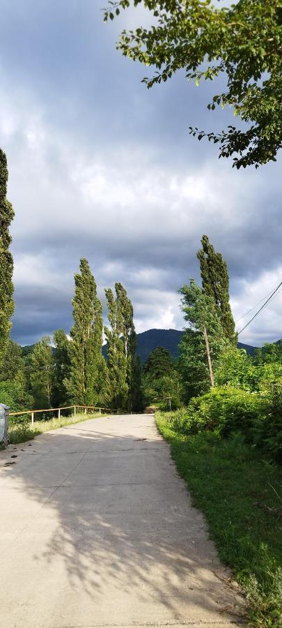 Dimis Ferdobi Hostel Kültér fotó