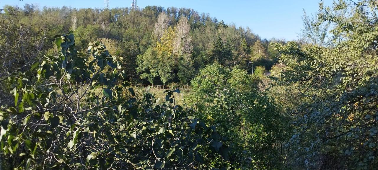 Dimis Ferdobi Hostel Kültér fotó